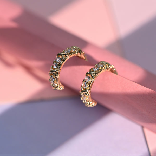 Street Wear Zircon Earrings